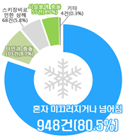 스키장 내 안전사고 위해유형별 현황