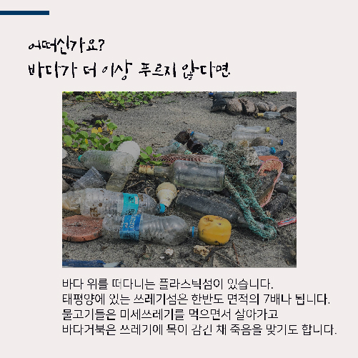 더 이상 바다가 푸르지 않다면