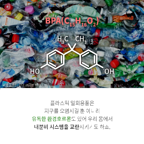 거절의 미학