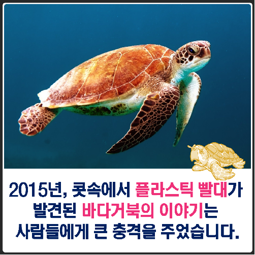 당신은 오늘 몇 개의 플라스틱 빨대를 사용했나요?