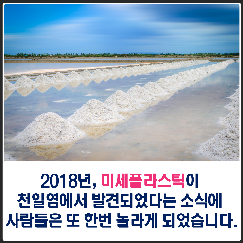 당신은 오늘 몇 개의 플라스틱 빨대를 사용했나요?