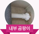 내부 곰팡이