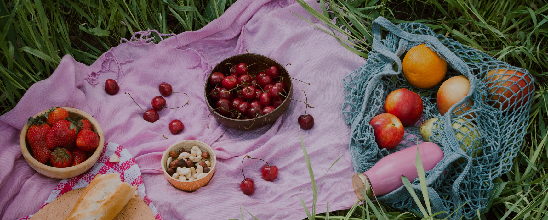 초록을 담은 하루, <br>제로웨이스트 피크닉 팁