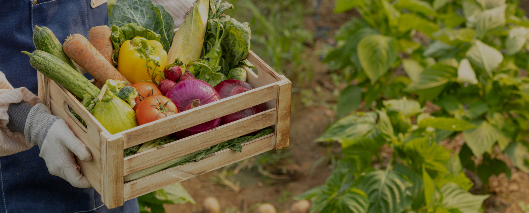 푸드 마일리지 ZERO <br>나만의 텃밭에서 길러먹어요!