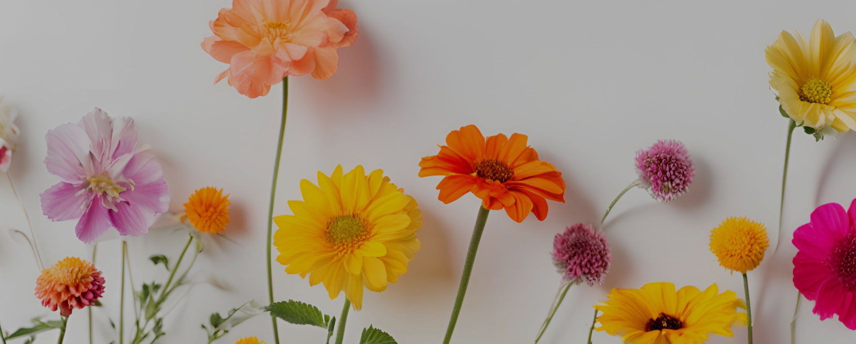 꽃으로 간직하는 향기로운 추억 <br>“순간을  영원으로 담아드려요”