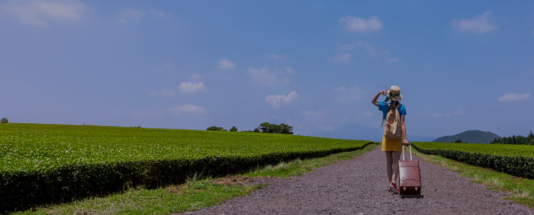 나답게 걷는 혼여행, <br>대전에서 마주한 시간
