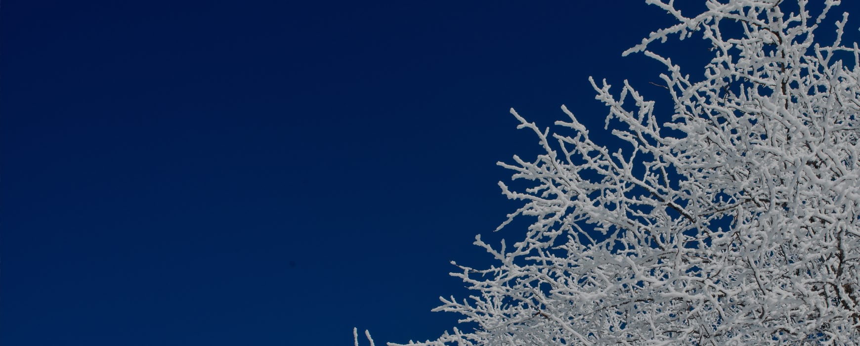 눈꽃이 머문 평창, <br>겨울의 풍경 속으로