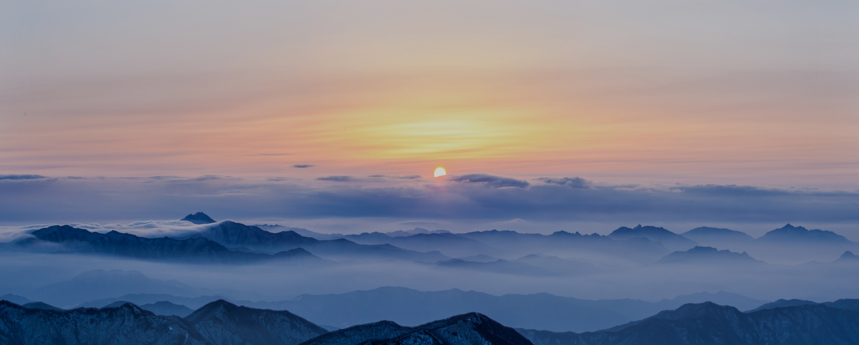 2025년 푸른 뱀의 해 <br>알아두면 좋은 소비뉴스