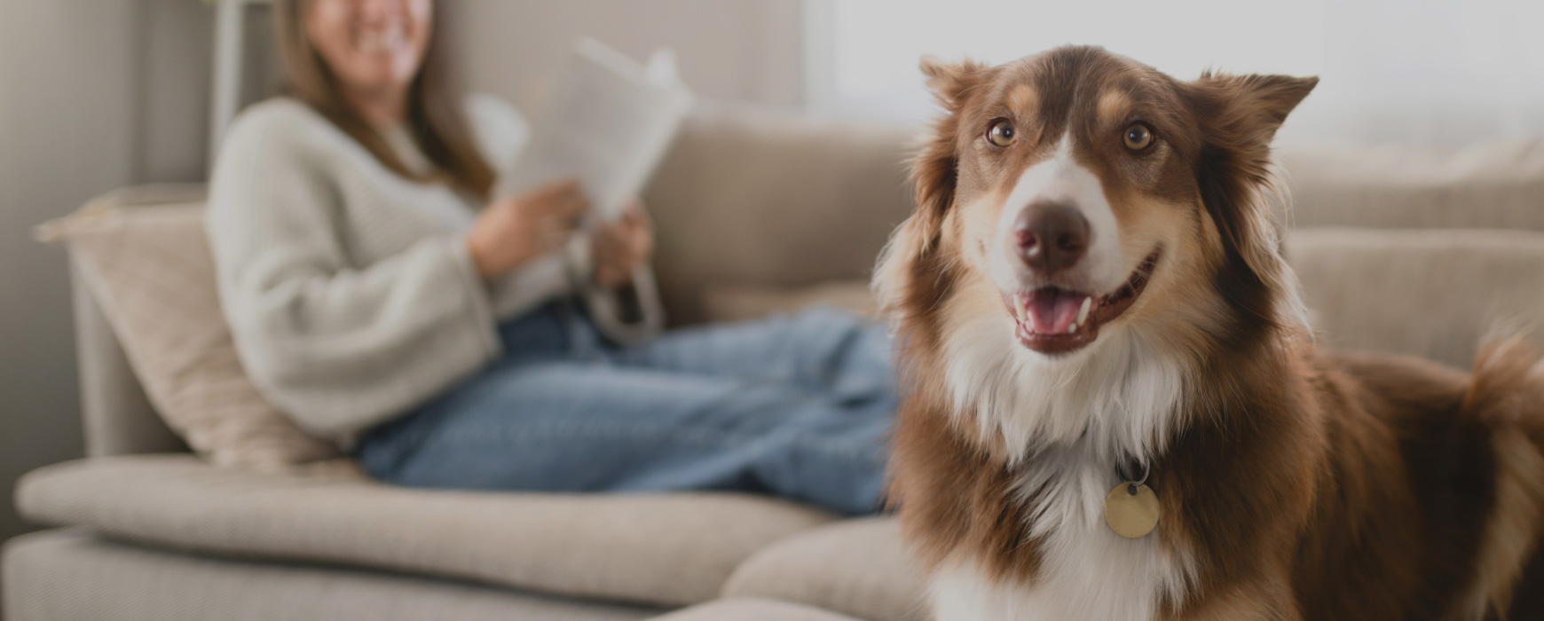 또 하나의 가족 ‘반려동물’ <br>펫보험 시장의 오늘