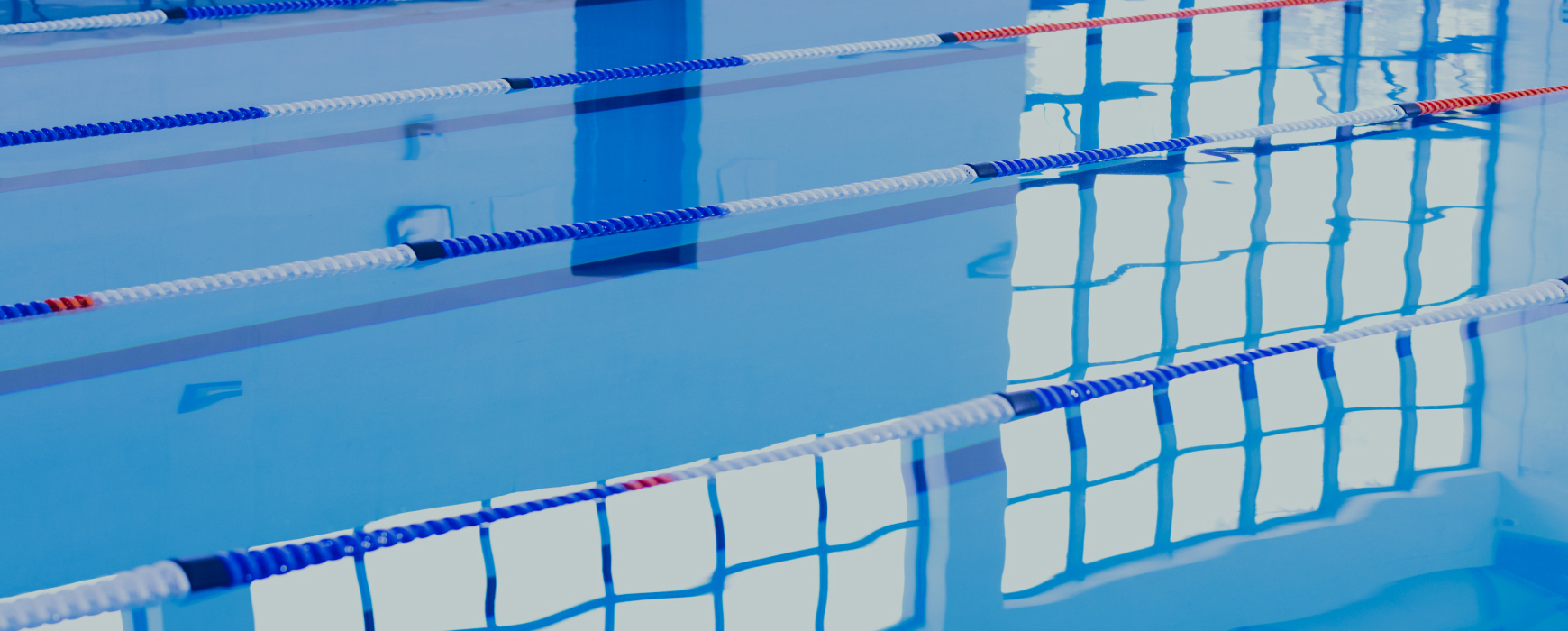 일부 공공수영장 욕수 관리 미흡 <br>지속적인 수질 개선 필요해