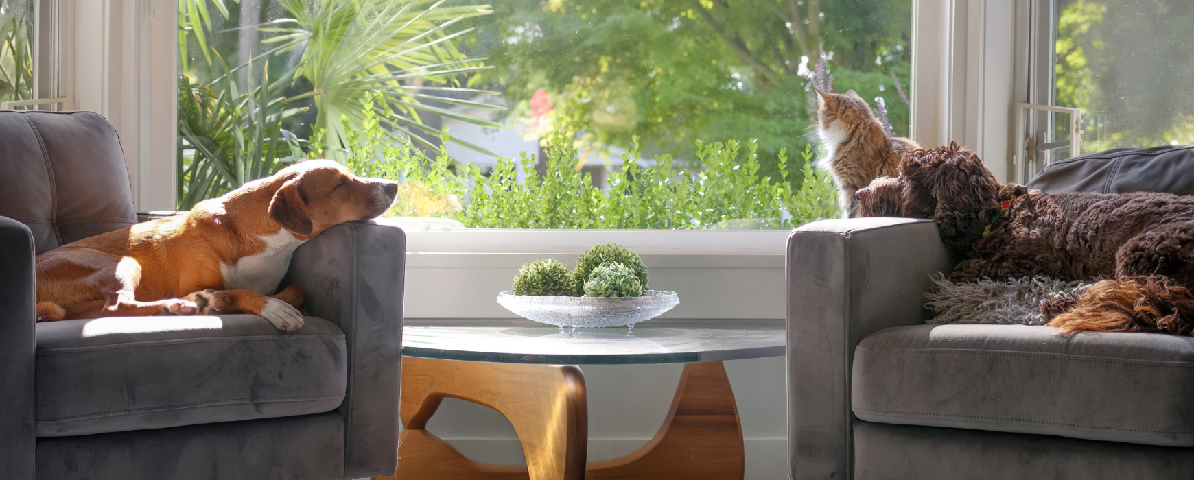 싱그러움 한가득 4월, <br>알아두면 좋은 소비뉴스