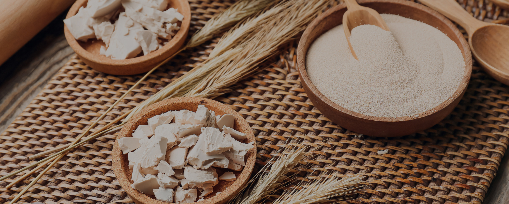 맥주효모·비오틴 식품 <br>모발 건강 효과와 무관해