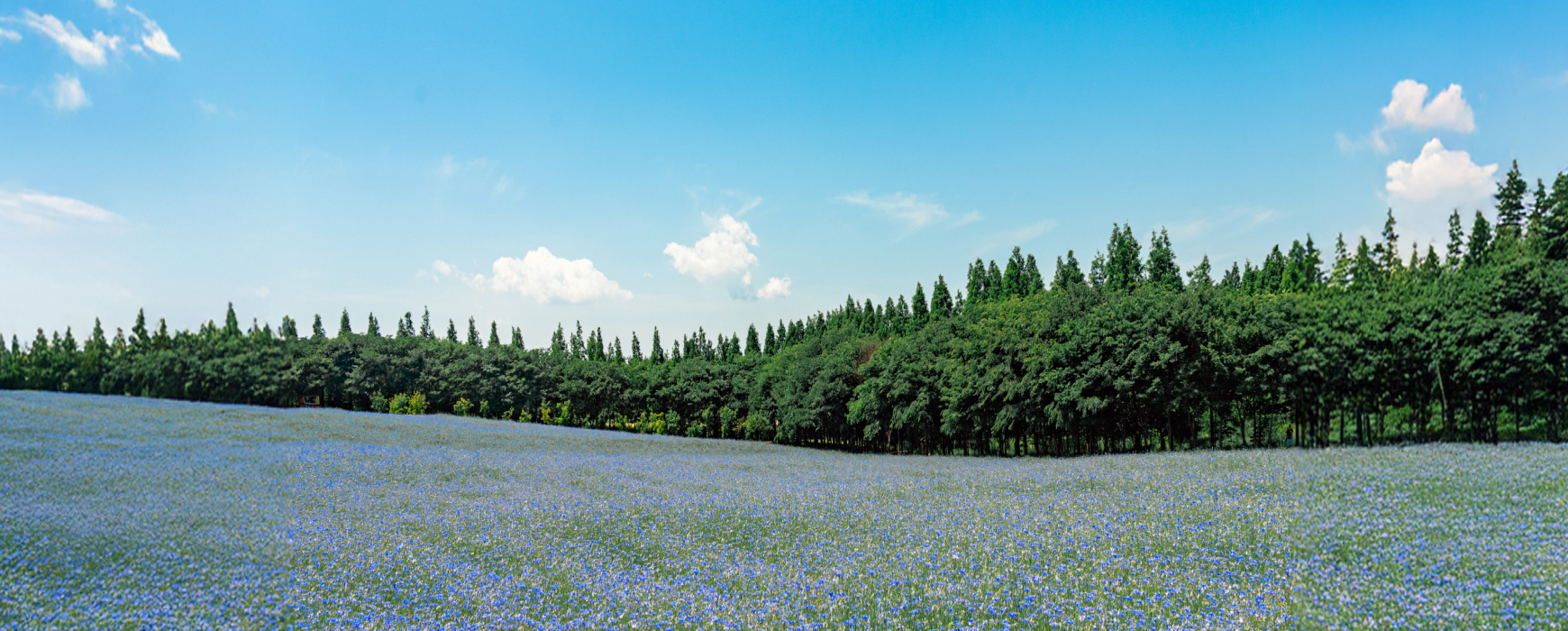 푸른 잎새 가득한 6월, <br>알아두면 좋은 소비뉴스