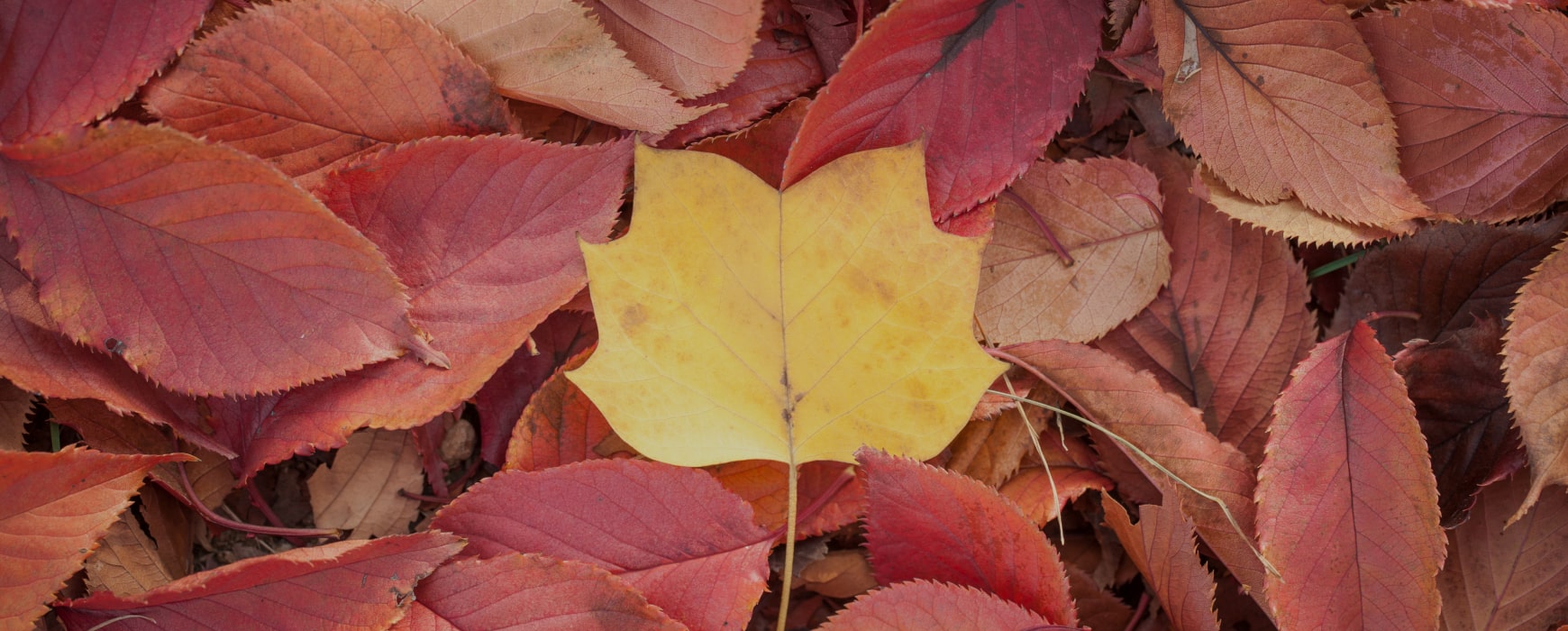 낙엽이 바스락 9월, <br>알아두면 좋은 소비뉴스