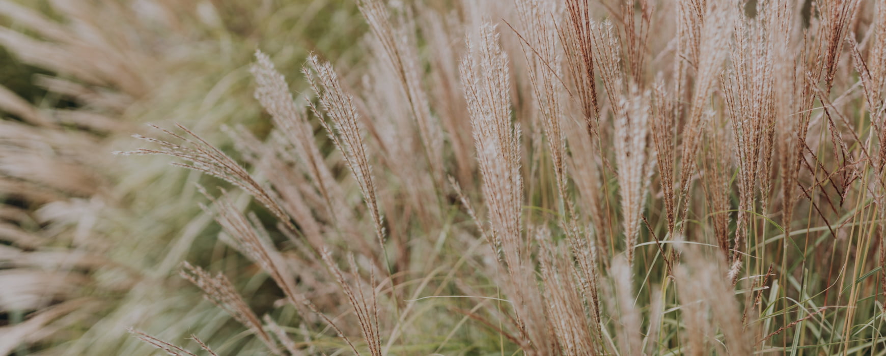 가을바람 불어오는 10월, <br>알아두면 좋은 소비뉴스